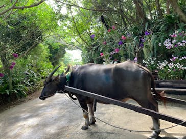 ビオスの丘に投稿された画像（2024/9/13）