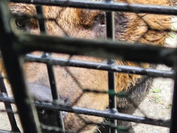 サホロリゾート　ベア･マウンテンに投稿された画像（2024/9/13）