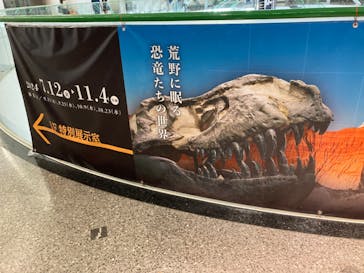 福井県立恐竜博物館に投稿された画像（2024/9/14）