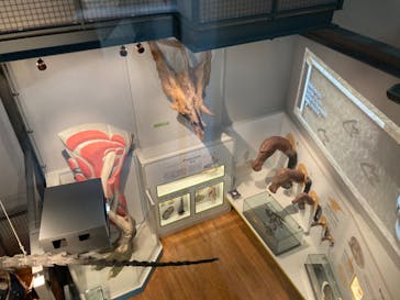 福井県立恐竜博物館に投稿された画像（2024/9/14）