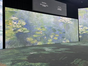 モネ＆フレンズ・アライブに投稿された画像（2024/9/14）