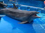 仙台うみの杜水族館に投稿された画像（2024/9/14）