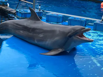 仙台うみの杜水族館に投稿された画像（2024/9/14）