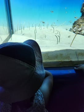 アクアワールド茨城県大洗水族館に投稿された画像（2024/9/14）