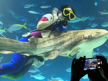 サンシャイン水族館に投稿された画像（2024/9/14）