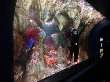 サンシャイン水族館に投稿された画像（2024/9/14）