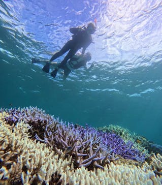 西表島 ADVENTURE PiPi（アドベンチャーピピ）に投稿された画像（2024/9/14）