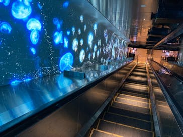 江の島シーキャンドルに投稿された画像（2024/9/14）