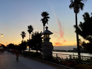 江の島シーキャンドルに投稿された画像（2024/9/14）