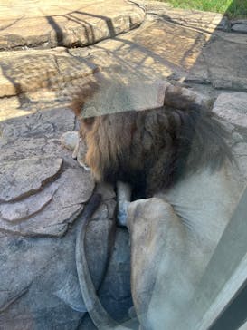 千葉市動物公園に投稿された画像（2024/9/14）