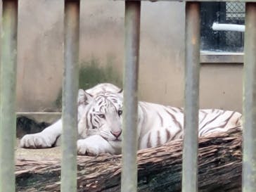 宇都宮動物園に投稿された画像（2024/9/14）