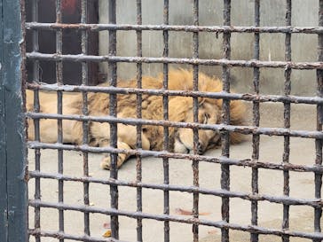 宇都宮動物園に投稿された画像（2024/9/14）