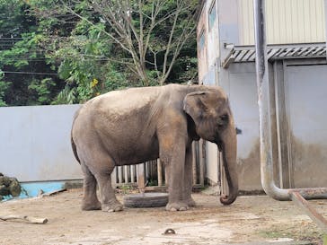 宇都宮動物園に投稿された画像（2024/9/14）