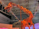 巨大恐竜展2024に投稿された画像（2024/9/14）