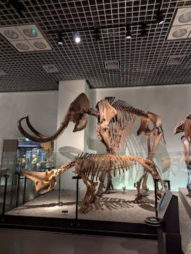 国立科学博物館に投稿された画像（2024/9/14）