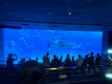沖縄美ら海水族館に投稿された画像（2024/9/14）