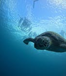  マリンショップHAPPYに投稿された画像（2024/9/14）