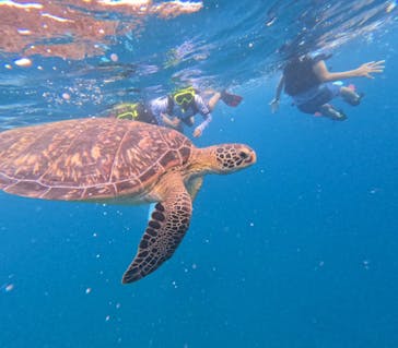  マリンショップHAPPYに投稿された画像（2024/9/14）