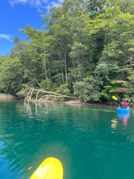 白馬ライオンアドベンチャーに投稿された画像（2024/9/14）