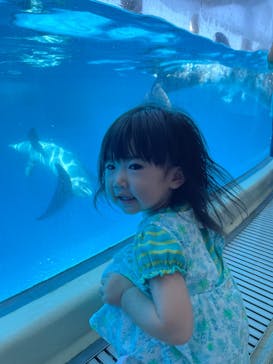 新江ノ島水族館に投稿された画像（2024/9/14）