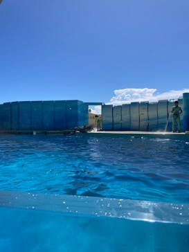 新江ノ島水族館に投稿された画像（2024/9/14）