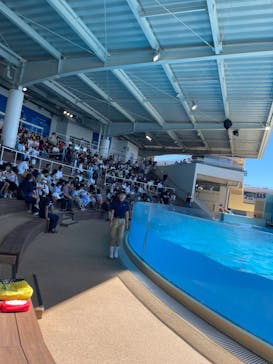 新江ノ島水族館に投稿された画像（2024/9/14）