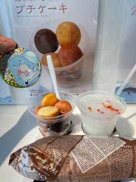 新江ノ島水族館に投稿された画像（2024/9/14）