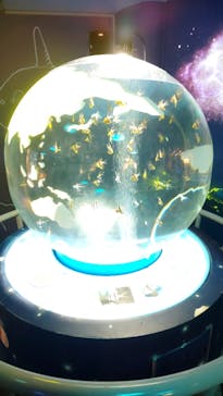 しながわ水族館に投稿された画像（2024/9/14）