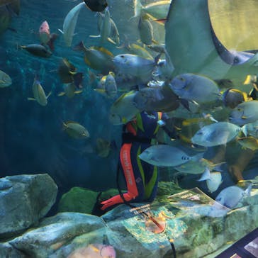 しながわ水族館に投稿された画像（2024/9/14）