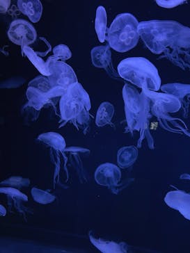 AOAO SAPPOROに投稿された画像（2024/9/14）