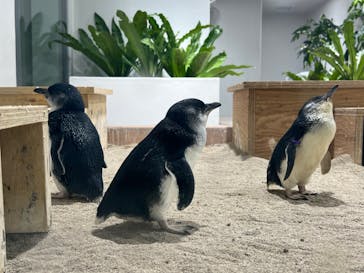 AOAO SAPPOROに投稿された画像（2024/9/14）