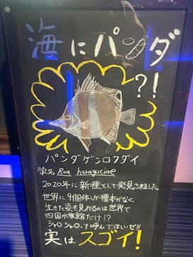 四国水族館に投稿された画像（2024/9/14）