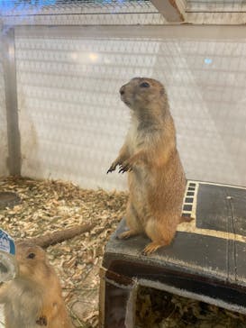 アニタッチみなとみらいに投稿された画像（2024/9/14）