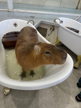 アニタッチみなとみらいに投稿された画像（2024/9/14）