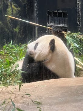恩賜上野動物園に投稿された画像（2024/9/14）