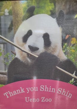 恩賜上野動物園に投稿された画像（2024/9/14）