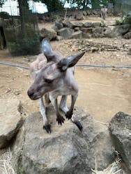 伊豆シャボテン動物公園に投稿された画像（2024/9/14）