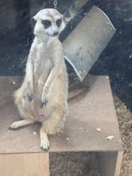 伊豆シャボテン動物公園に投稿された画像（2024/9/14）