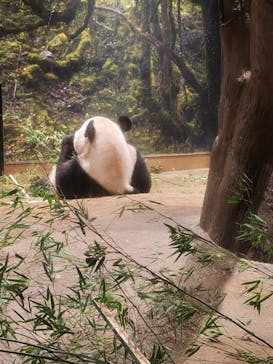 恩賜上野動物園に投稿された画像（2024/9/14）