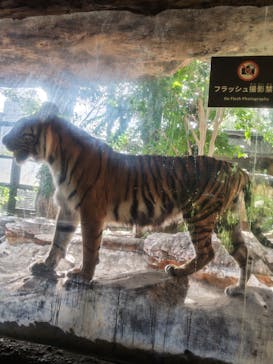 恩賜上野動物園に投稿された画像（2024/9/14）
