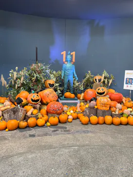 ひらかたパークに投稿された画像（2024/9/14）