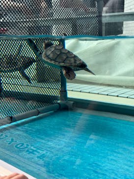 名古屋港水族館に投稿された画像（2024/9/14）