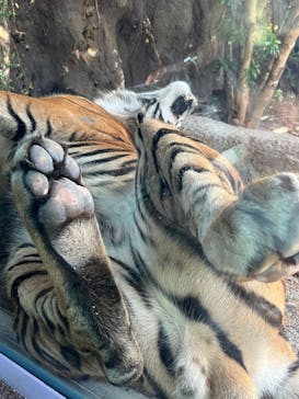 神戸どうぶつ王国に投稿された画像（2024/9/14）