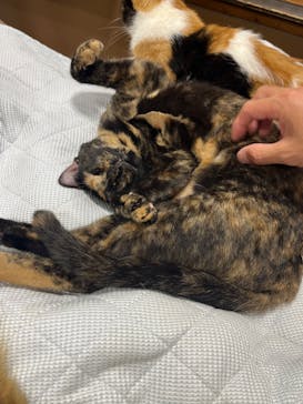 神戸どうぶつ王国に投稿された画像（2024/9/14）