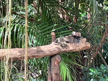 神戸どうぶつ王国に投稿された画像（2024/9/14）