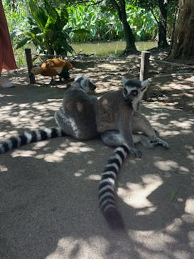 神戸どうぶつ王国に投稿された画像（2024/9/14）