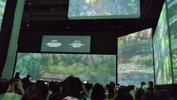 モネ＆フレンズ・アライブに投稿された画像（2024/9/14）