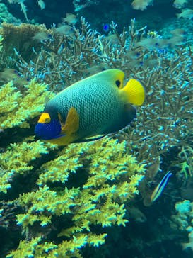 沖縄美ら海水族館に投稿された画像（2024/9/14）