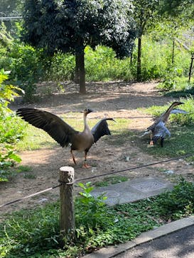多摩動物公園に投稿された画像（2024/9/14）