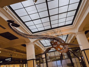 国立科学博物館に投稿された画像（2024/9/14）